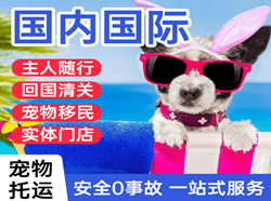 通化航空运输国际宠物托运 【国